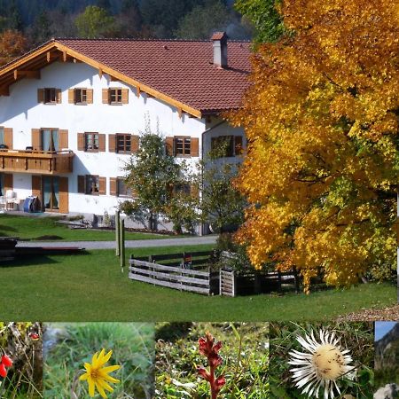Ferienwohnungen Hennenmuehle Bad Hindelang Ngoại thất bức ảnh